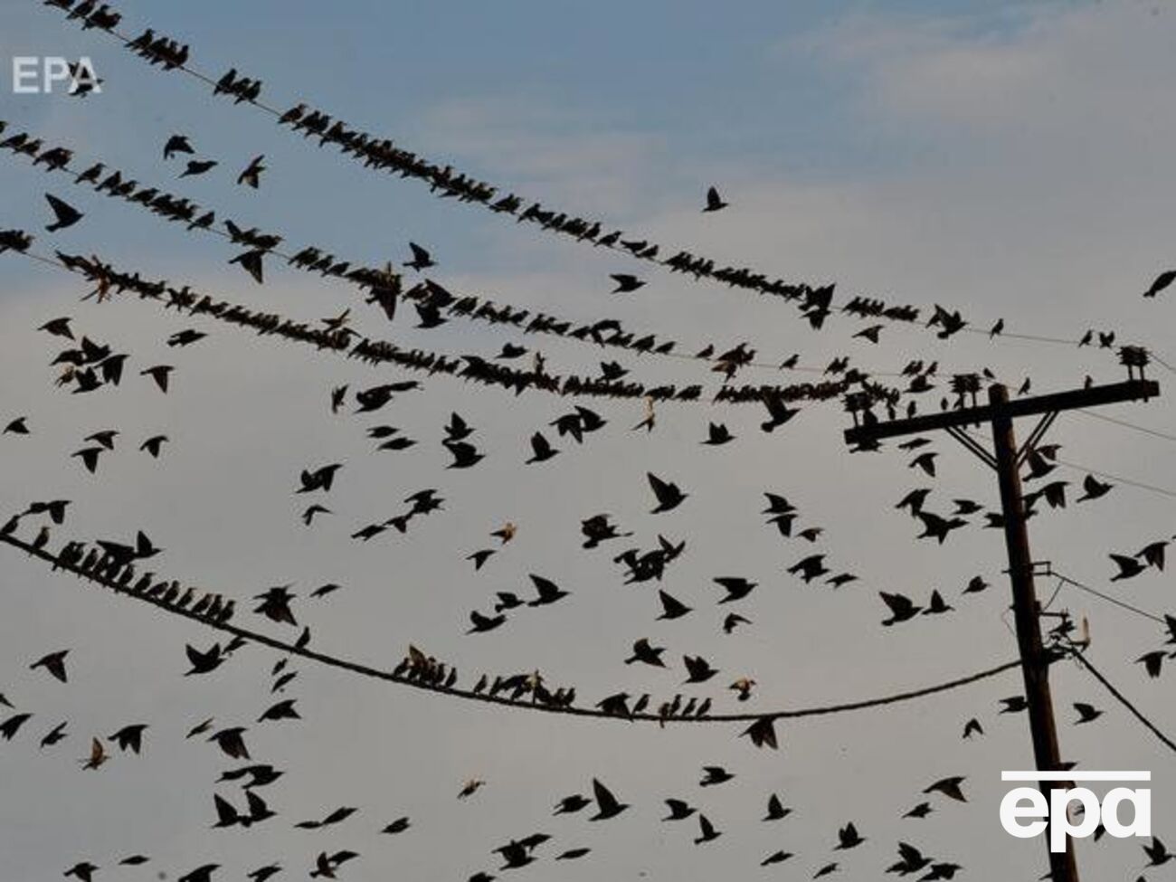 Министр заявил, что режим ПСО намерены постепенно отменять