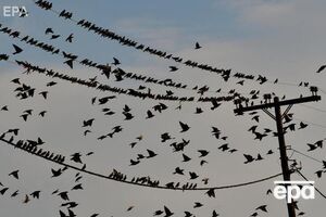 Министр заявил, что режим ПСО намерены постепенно отменять