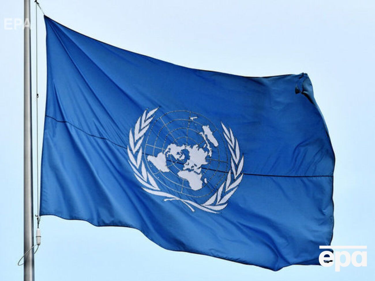 В ООН повідомили про кількість жінок, які зазнавали різних видів насильства