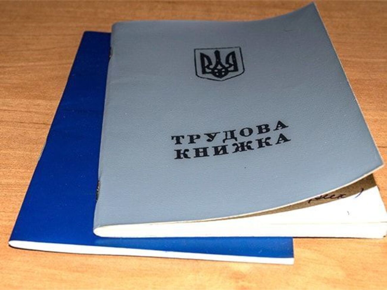 У разі схвалення законопроєкту Радою трудова книжка буде необов'язковою під час приймання на роботу