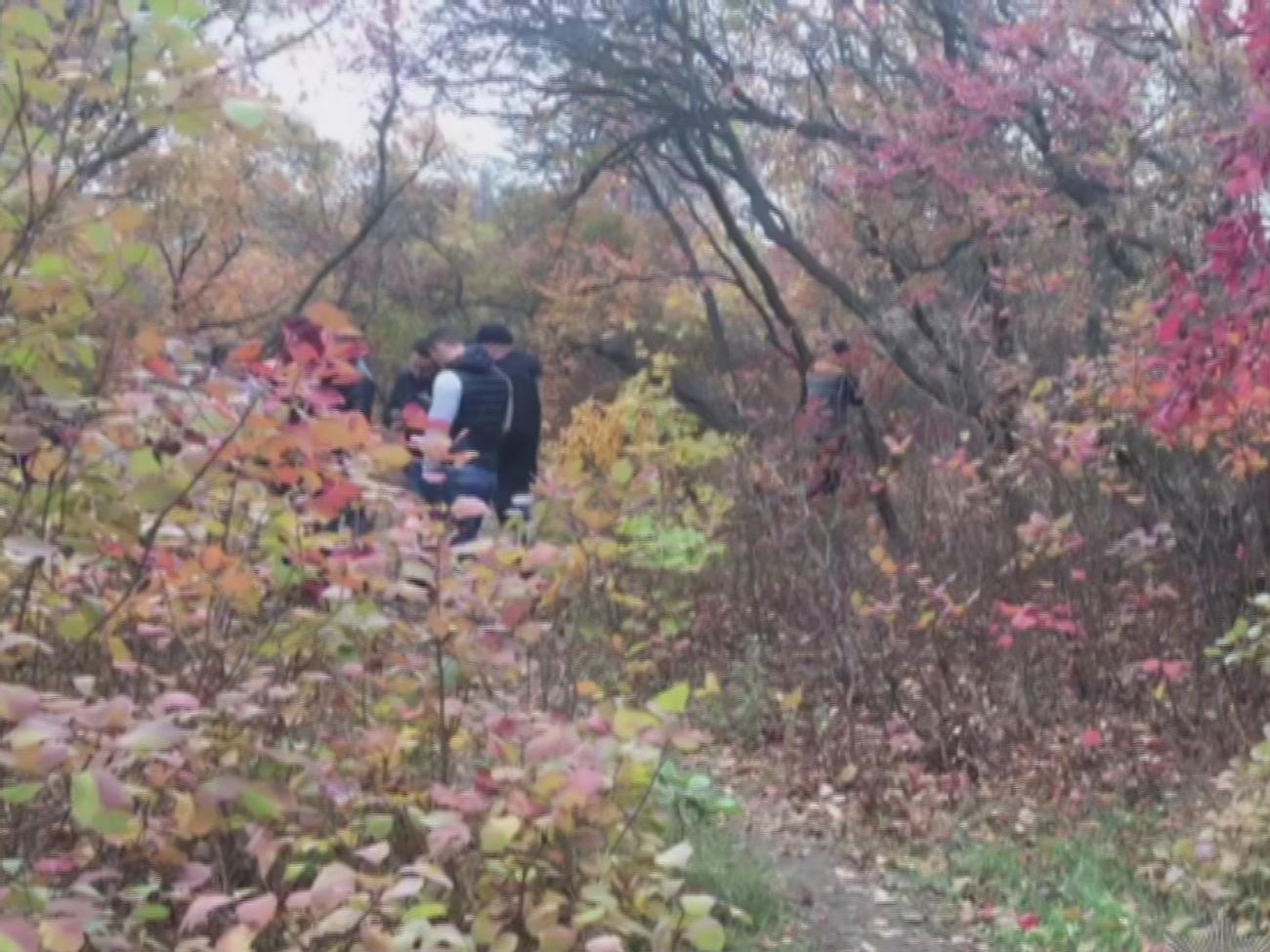 Поліцейські знайшли тіло дівчини