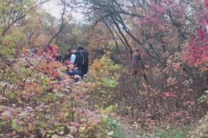 Поліцейські знайшли тіло дівчини