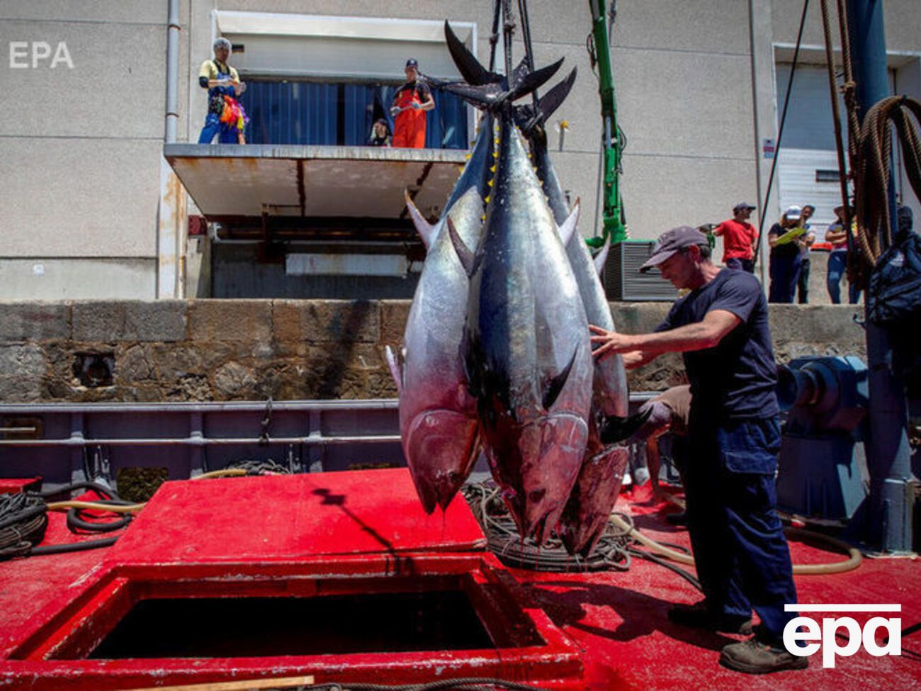 Квоты согласовывались на 2020 год