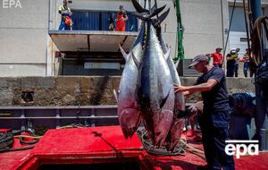 Квоты согласовывались на 2020 год