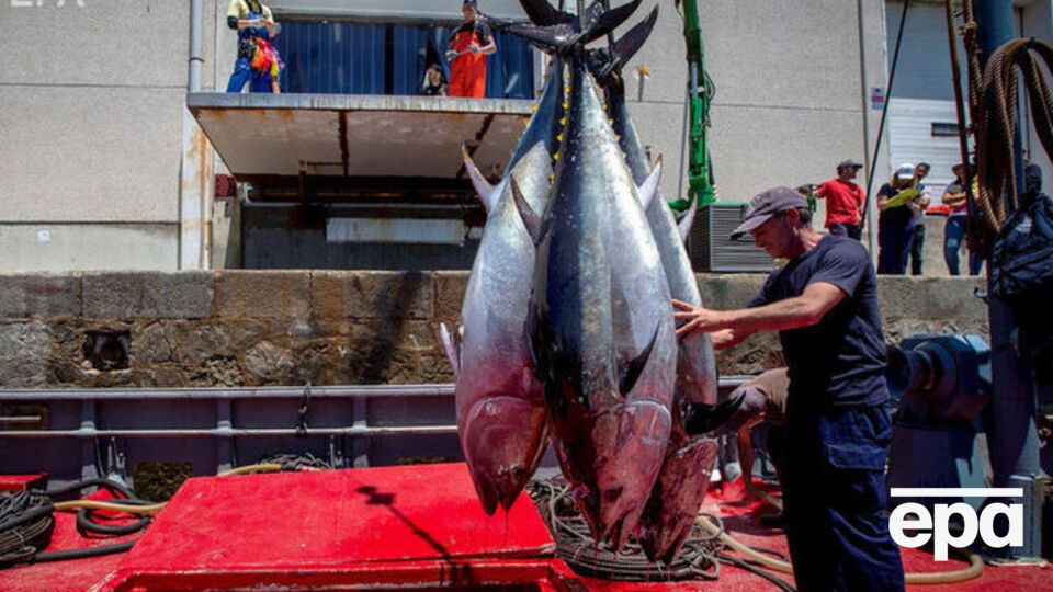 Квоты согласовывались на 2020 год