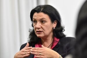 Климпуш-Цинцадзе заявила, що Герус приховує листування з Європейським енергетичним співтовариством