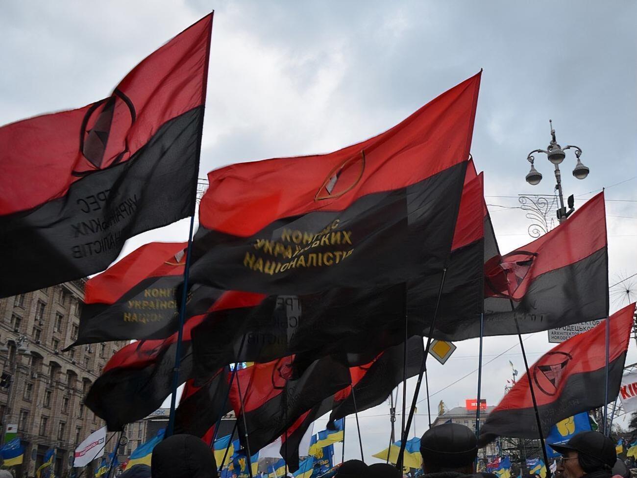 Мужчина повредил флагшток с флагом ОУН