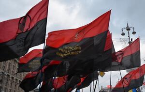 Мужчина повредил флагшток с флагом ОУН