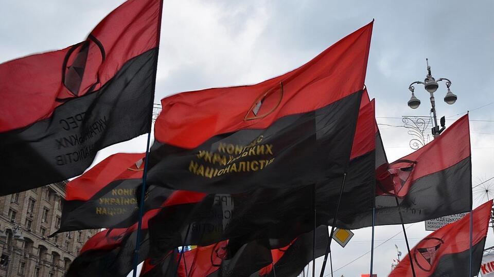 Мужчина повредил флагшток с флагом ОУН