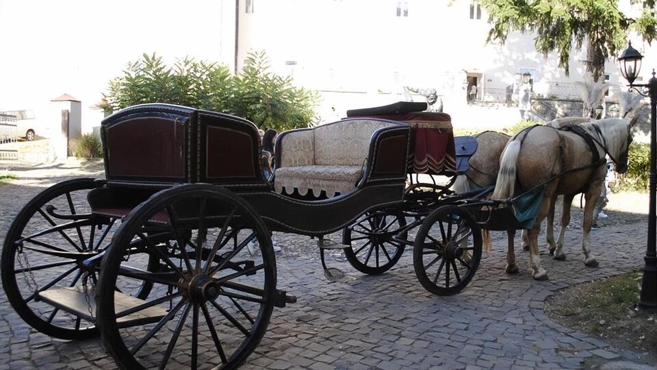 Екіпаж із кіньми в'їхав у лавку з людьми