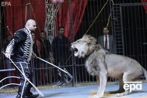 Тварини мають жити не в цирку, уважають у Міненерго