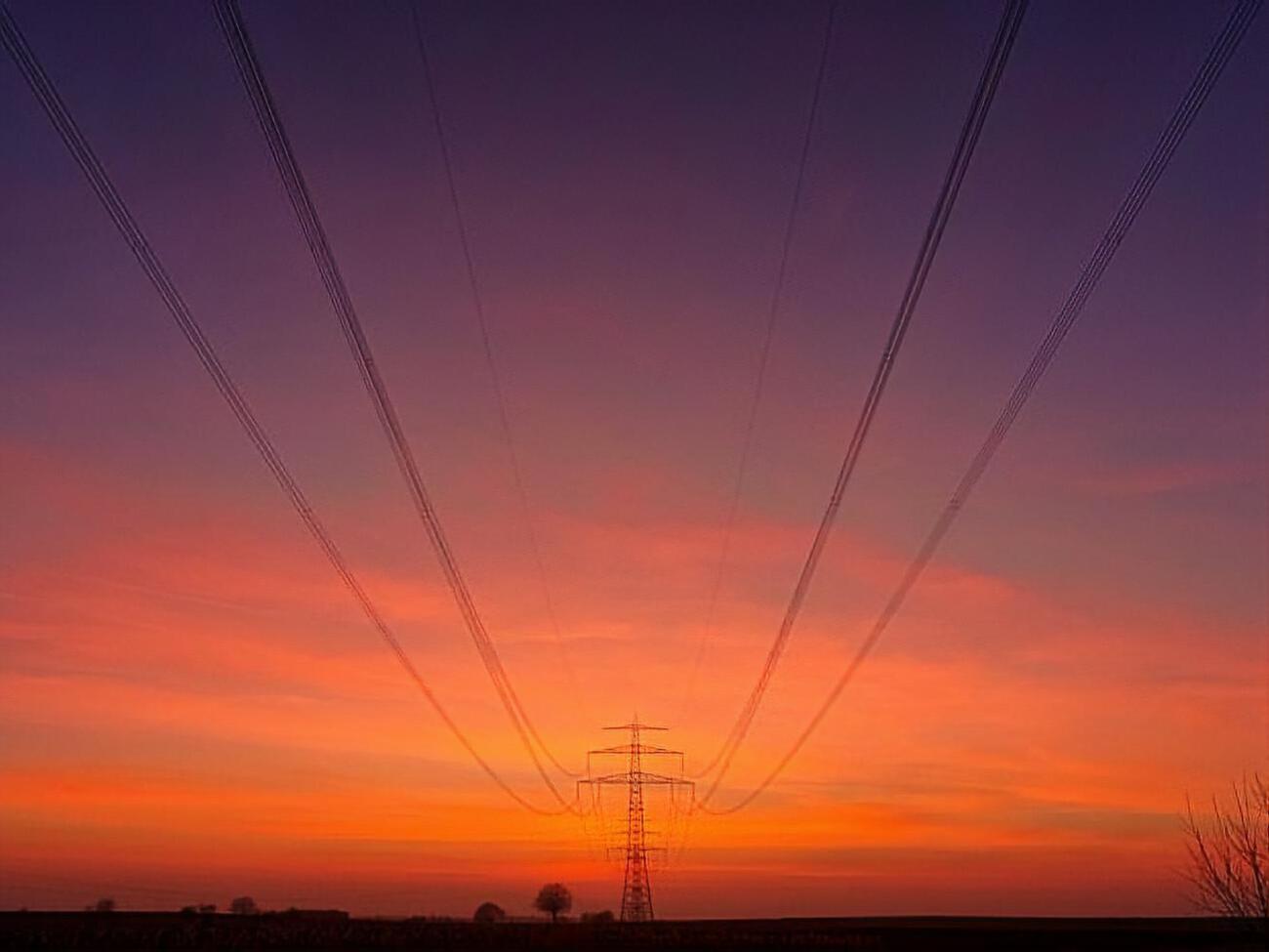 Вишневский заявил, что для ограничения импорта необходимо внести изменения в украинское законодательство