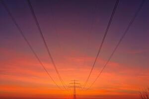 Вишневский заявил, что для ограничения импорта необходимо внести изменения в украинское законодательство