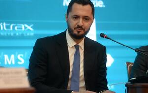 До назначения Опимах был исполнительным директором Ассоциации газодобывающих компаний Украины