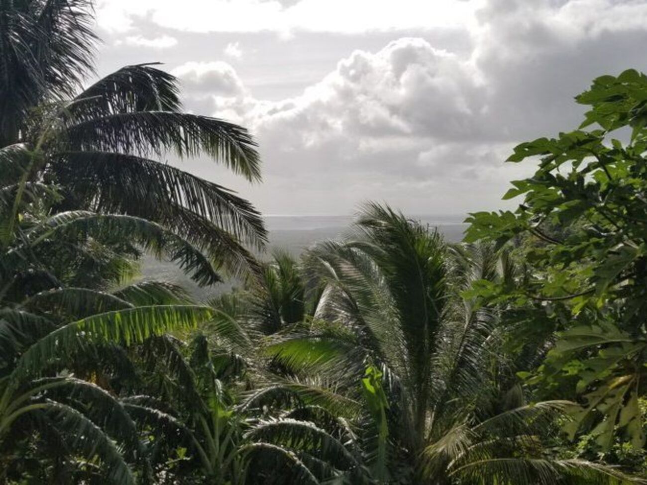 На Филиппинах ждут приближения "Каммури"