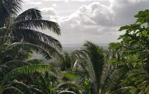 На Филиппинах ждут приближения "Каммури"