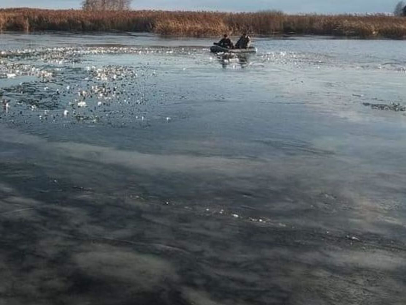 Чоловіки рибалили на кризі