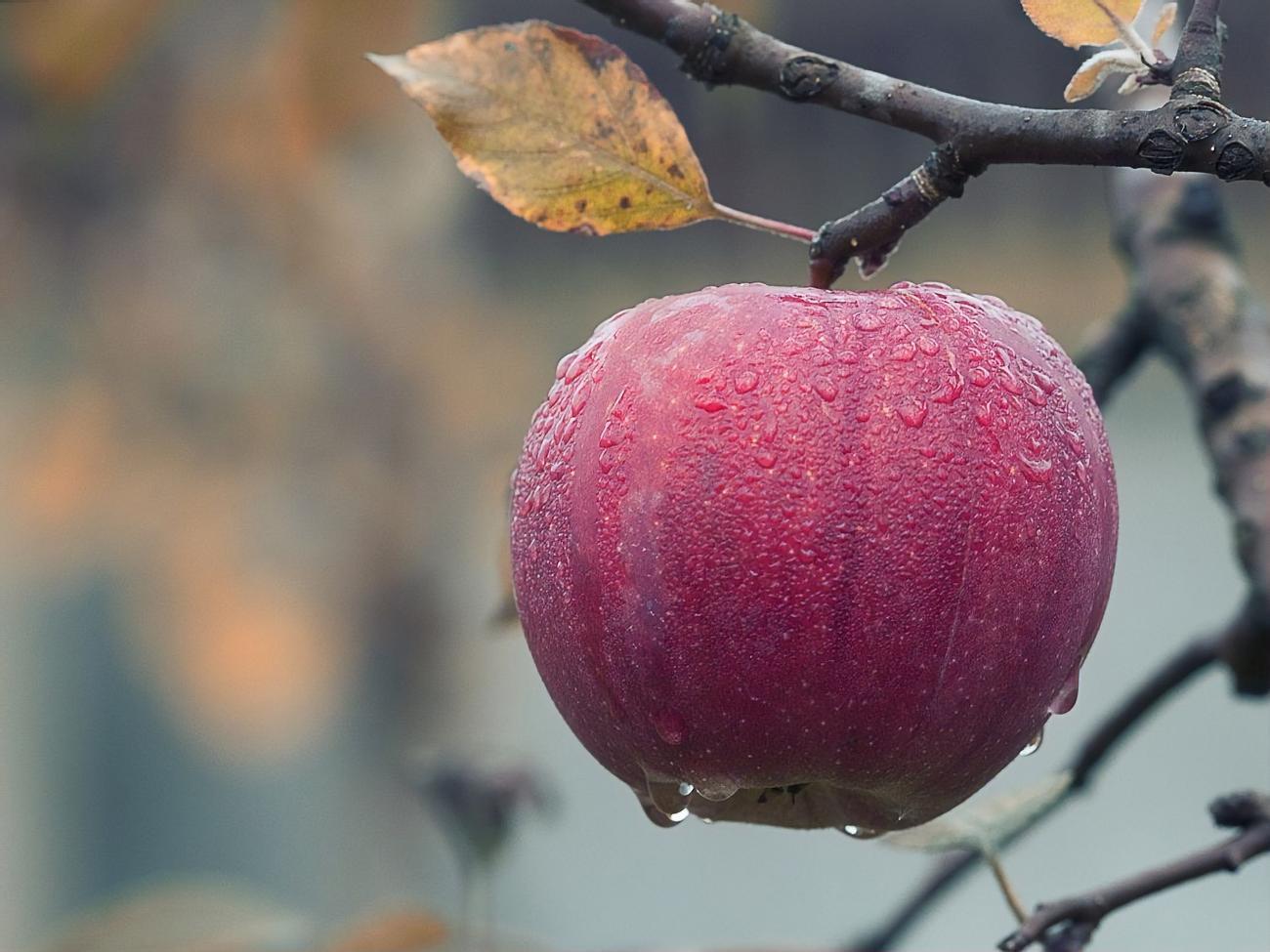 Завтра температура повітря в більшості областей удень коливатиметься від +2 &deg;C до +5 &deg;C, повідомила синоптикиня