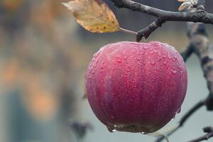 Завтра температура повітря в більшості областей удень коливатиметься від +2 °C до +5 °C, повідомила синоптикиня