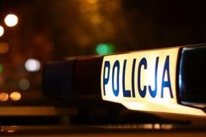 Поліція затримала підозрюваного українця
