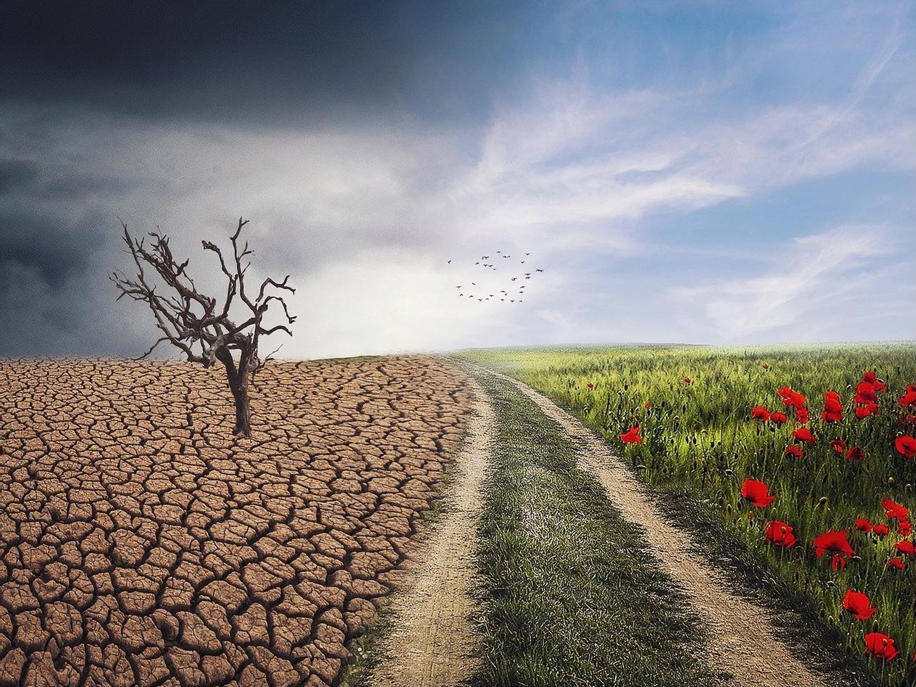 Антилидером рейтинга стали США