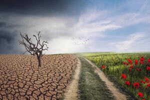 Антилидером рейтинга стали США