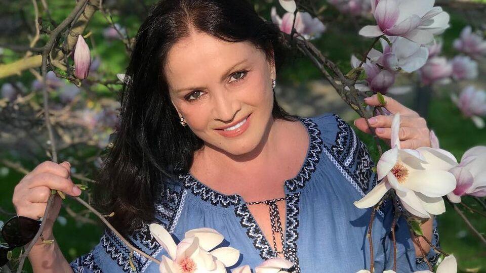 Готель Ротару оголосив про тимчасову зупинку роботи