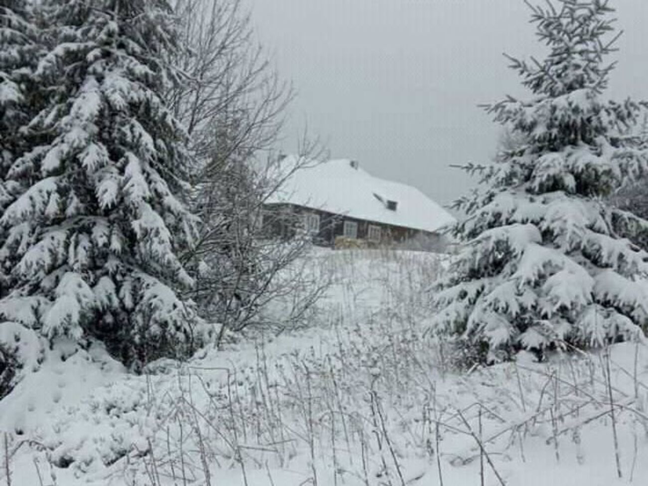 На сніголавинному посту "Драгобрат" зафіксували сніговий покрив заввишки 10 см