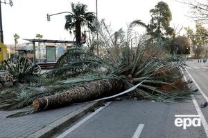 Сильный ветер приводит к падению деревьев