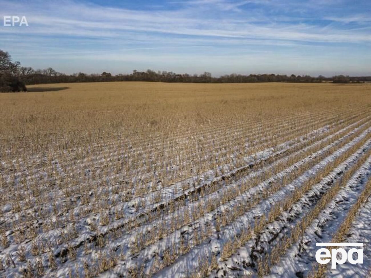 С 2002 года в Украине действует мораторий на продажу земель сельскохозяйственного назначения