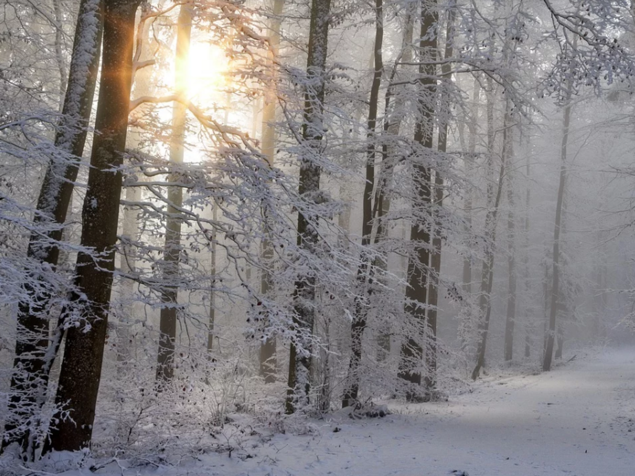 Діденко попередила, що в Україні подекуди буде налипання мокрого снігу