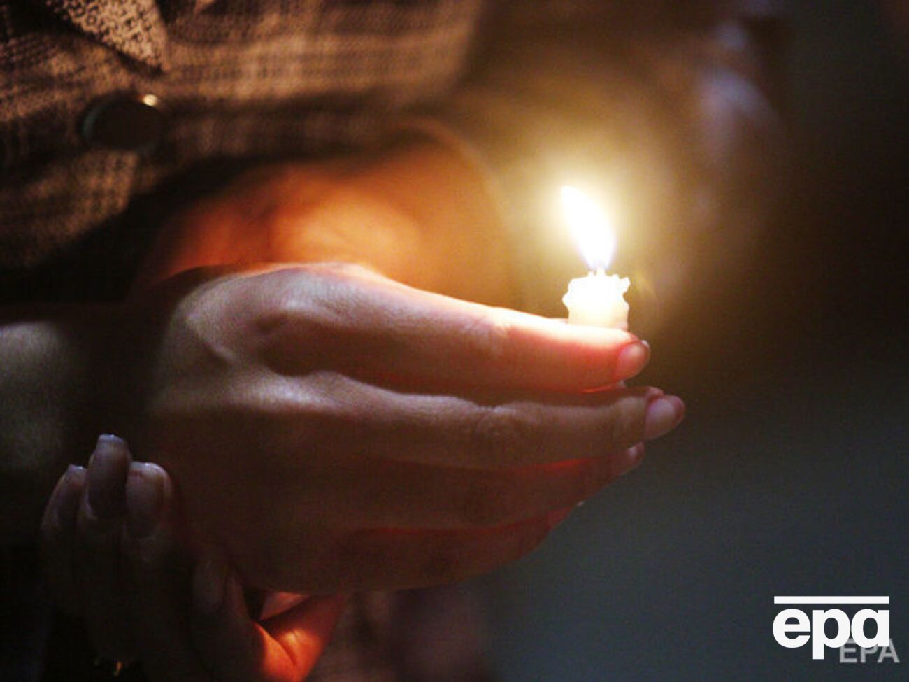 Промокашка и Чубакка, диссидент Буковский и диктатор Мугабе. Известные люди, умершие в 2019 году. Фоторепортаж