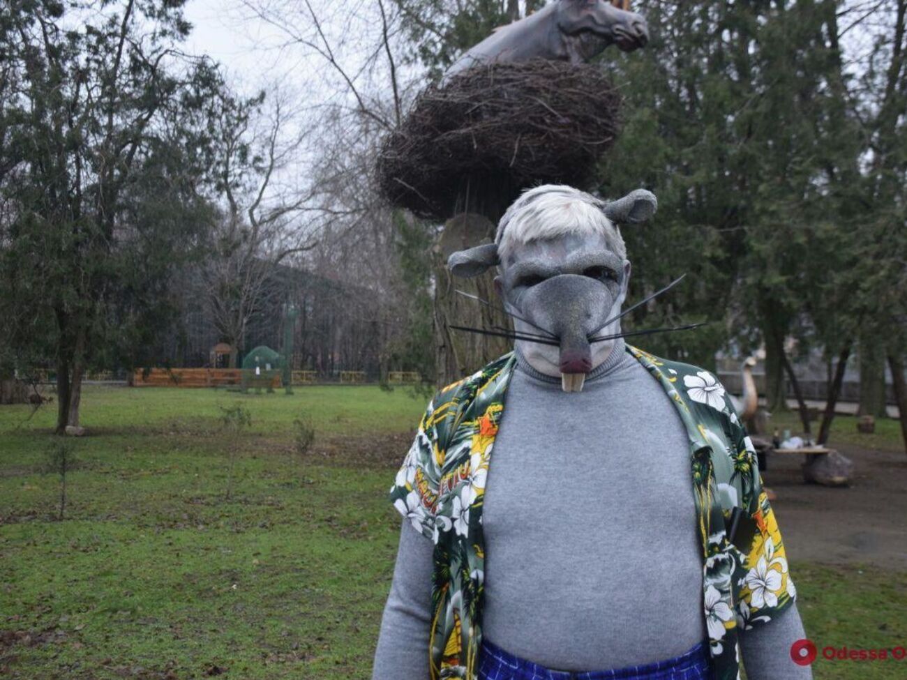 В ролике директор Одесского зоопарка появился в маске крысы