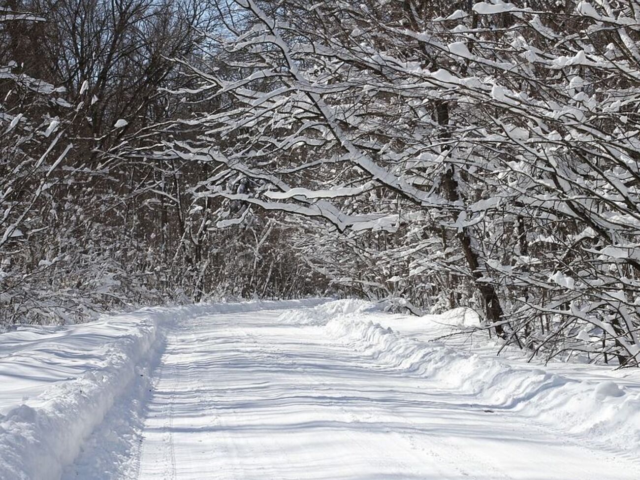 В Україні випаде сніг