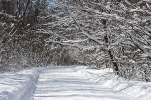 В Україні випаде сніг