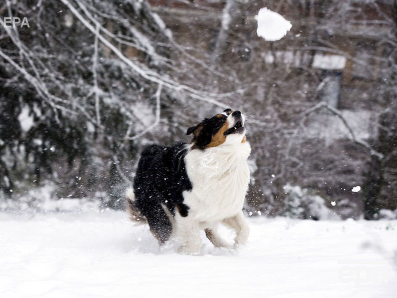 Снежки в этом постановлении внесены в одну категорию с камнями