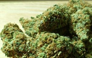 Медицинский каннабис в Иллинойсе легализировали в 2014 году