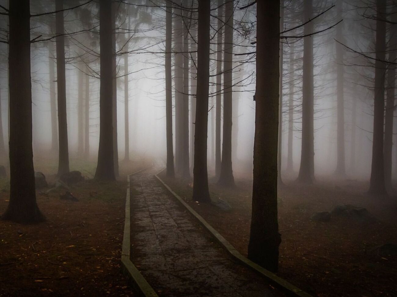 У східних областях України буде туман, розповіли у ДСНС