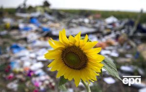 Самолет был сбит над Донбассом в июле 2014 года