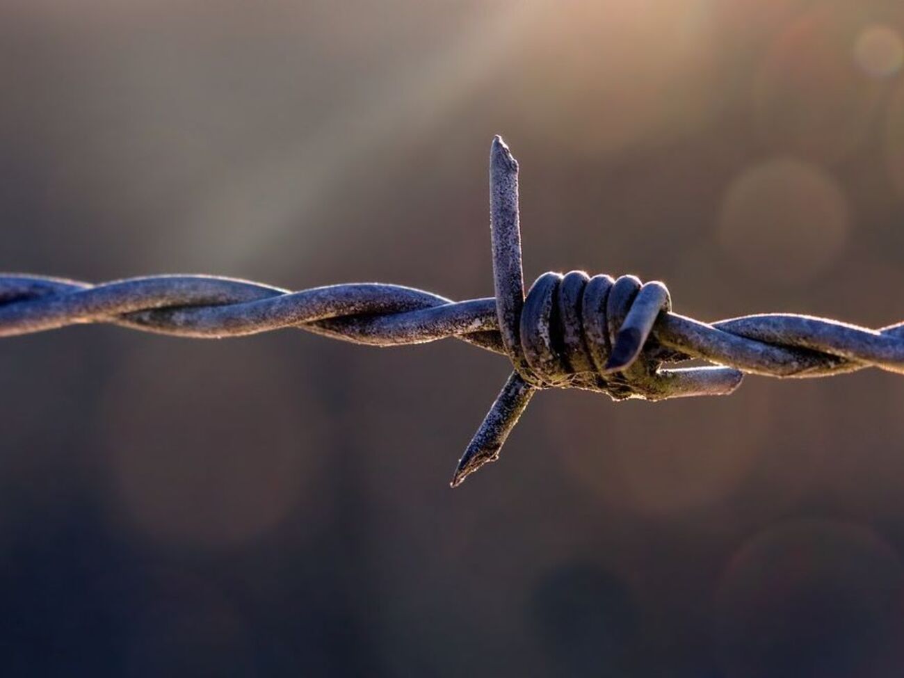 Обмін утримуваними особами може відбутися 29 грудня