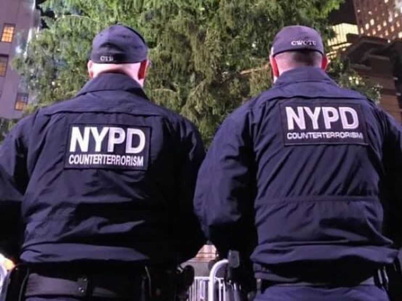 Полиция задержала нападавшего