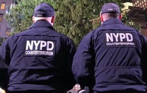 Полиция задержала нападавшего