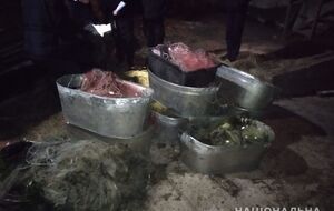 У рыбаков изъяли орудия лова, лодку и рыбу