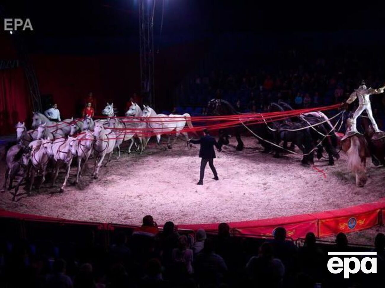 Бородянський повідомив, що тварин із державних цирків передадуть у реабілітаційні центри