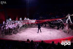 Бородянський повідомив, що тварин із державних цирків передадуть у реабілітаційні центри