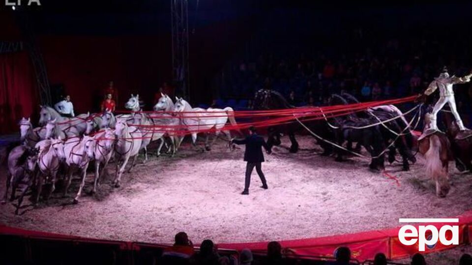 Бородянський повідомив, що тварин із державних цирків передадуть у реабілітаційні центри