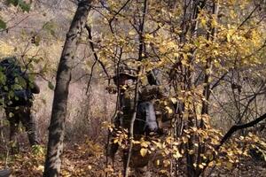 Два офицера спецназа "Альфа" погибли во время выполнения боевой задачи