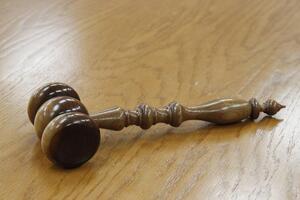 Суд арестовал авто и деньги Лесничей