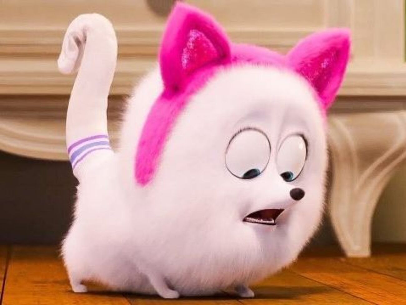 Гиджет попробует научиться повадкам кошки