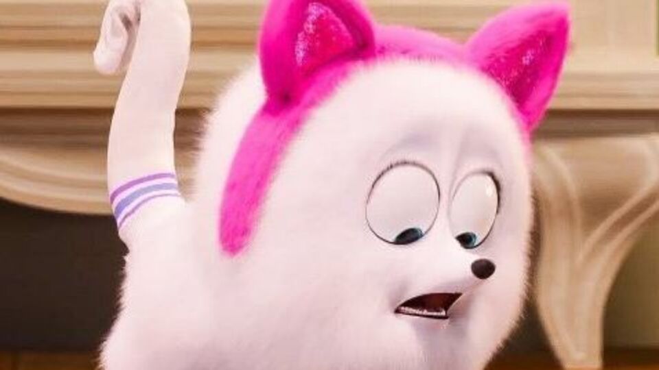 Гиджет спробує навчитися звичкам кішки